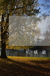 闪银逾期多久轰炸 闪银逾期多久轰炸