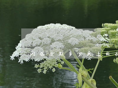 闪银逾期多少天上报征信 闪银逾期多少天上报征信