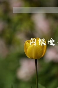 闪银逾期多少天开启延期 闪银逾期多少天开启延期