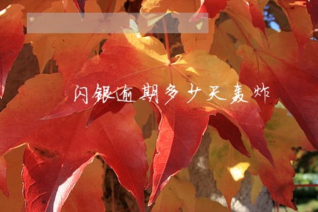 闪银逾期多少天轰炸 闪银逾期多少天轰炸