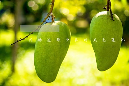 闪银逾期多长时间包通讯录 闪银逾期多长时间包通讯录