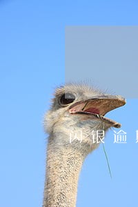 闪银逾期太久外访人员上门 闪银逾期太久外访人员上门