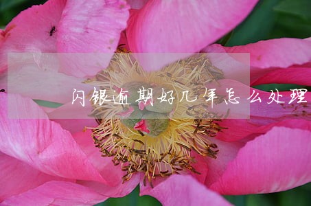 闪银逾期好几年怎么处理还款 闪银逾期好几年怎么处理还款