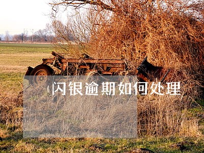 闪银逾期如何处理 闪银逾期如何处理