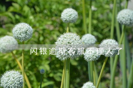 闪银逾期客服不理人了 闪银逾期客服不理人了