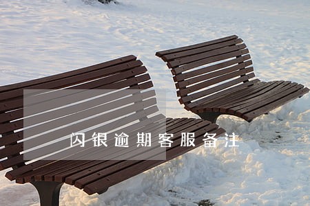闪银逾期客服备注 闪银逾期客服备注