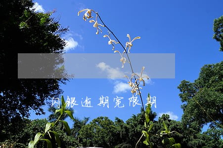 闪银逾期宽限期 闪银逾期宽限期