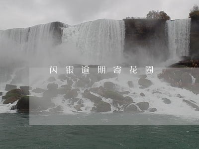 闪银逾期寄花圈 闪银逾期寄花圈