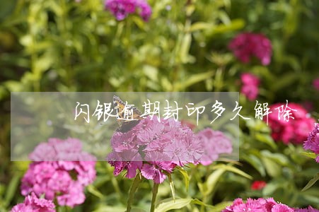 闪银逾期封印多久解除 闪银逾期封印多久解除