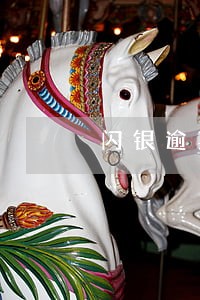 闪银逾期封印怎么提现 闪银逾期封印怎么提现
