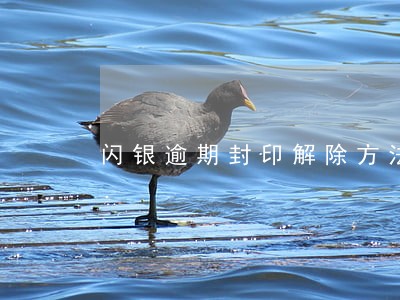 闪银逾期封印解除方法 闪银逾期封印解除方法