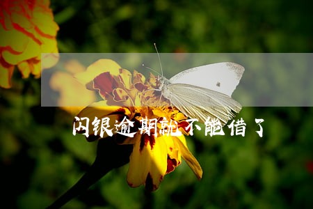 闪银逾期就不能借了 闪银逾期就不能借了