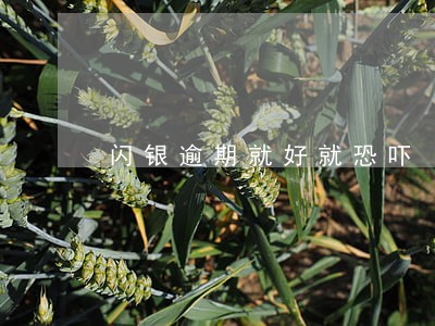 闪银逾期就好就恐吓 闪银逾期就好就恐吓
