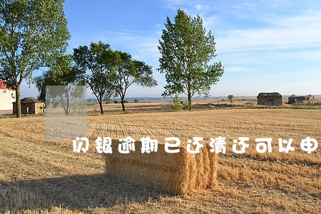 闪银逾期已还清还可以申请下款吗 闪银逾期已还清还可以申请下款吗
