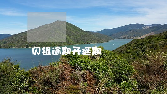 闪银逾期开延期 闪银逾期开延期