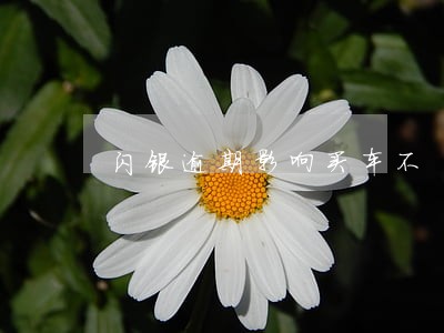 闪银逾期影响买车不 闪银逾期影响买车不