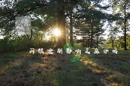 闪银逾期影响芝麻分吗 闪银逾期影响芝麻分吗