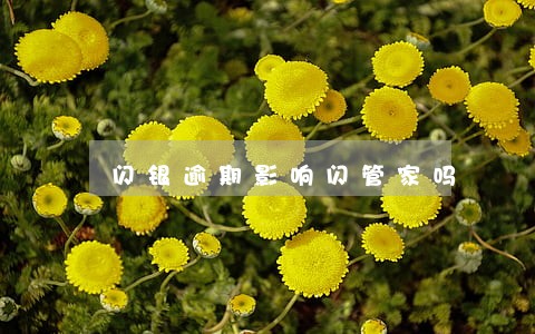 闪银逾期影响闪管家吗 闪银逾期影响闪管家吗