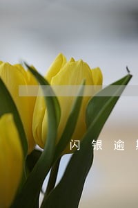闪银逾期征信不更新了 闪银逾期征信不更新了