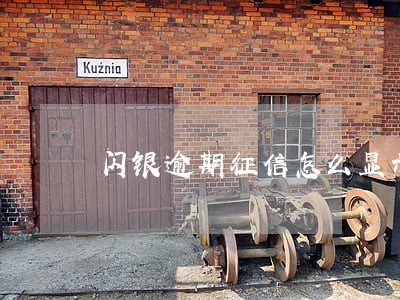 闪银逾期征信怎么显示 闪银逾期征信怎么显示