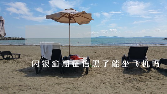 闪银逾期征信黑了能坐飞机吗 闪银逾期征信黑了能坐飞机吗