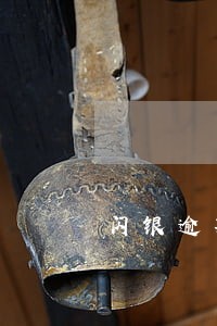 闪银逾期很久了 闪银逾期很久了