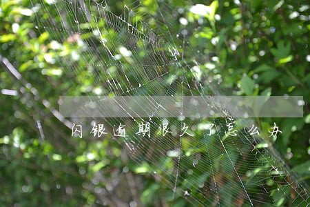 闪银逾期很久了怎么办 闪银逾期很久了怎么办