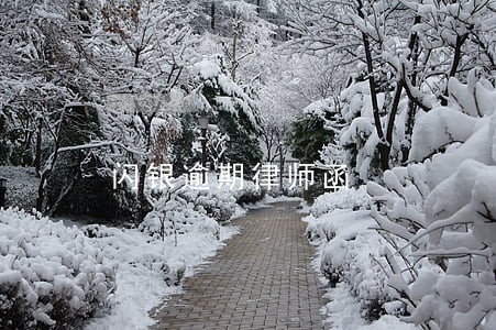 闪银逾期律师函 闪银逾期律师函