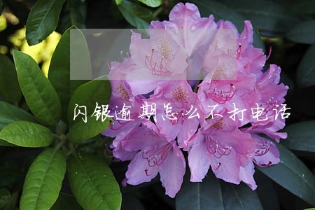 闪银逾期怎么不打电话 闪银逾期怎么不打电话