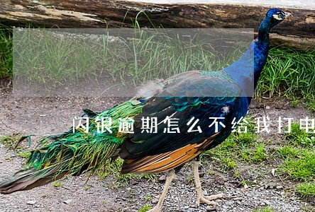 闪银逾期怎么不给我打电话 闪银逾期怎么不给我打电话