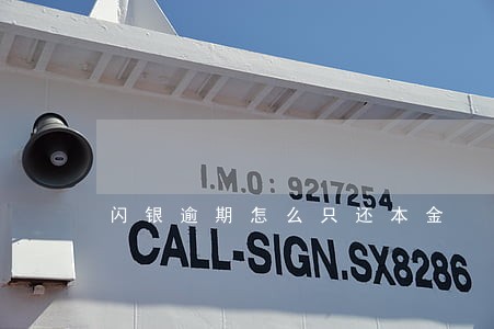 闪银逾期怎么只还本金 闪银逾期怎么只还本金