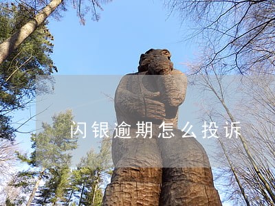 闪银逾期怎么投诉 闪银逾期怎么投诉