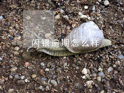 闪银逾期怎么样 闪银逾期怎么样