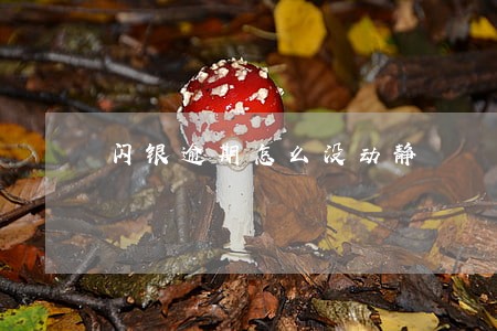 闪银逾期怎么没动静 闪银逾期怎么没动静