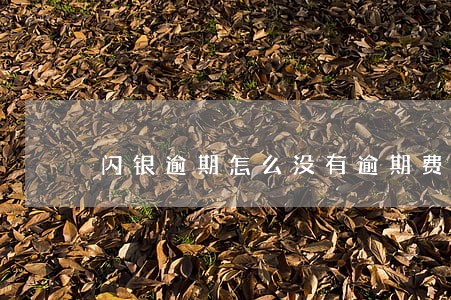 闪银逾期怎么没有逾期费了 闪银逾期怎么没有逾期费了