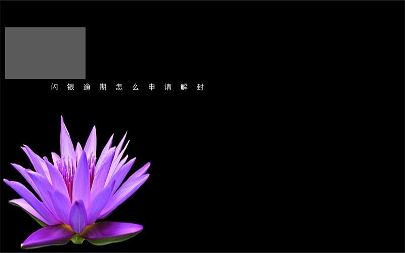 闪银逾期怎么申请解封 闪银逾期怎么申请解封