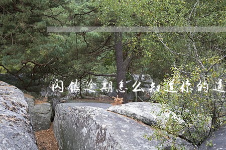 闪银逾期怎么知道你的通讯录 闪银逾期怎么知道你的通讯录