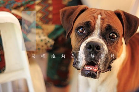 闪银逾期怎么解除封印 闪银逾期怎么解除封印