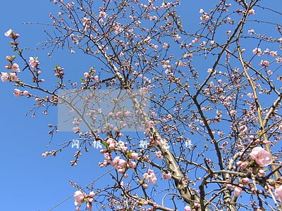 闪银逾期怎样 闪银逾期怎样