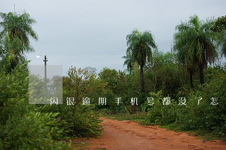 闪银逾期手机号都没了怎么办 闪银逾期手机号都没了怎么办