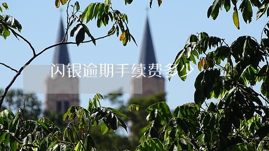 闪银逾期手续费多少 闪银逾期手续费多少