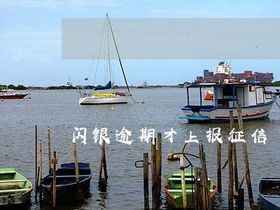闪银逾期才上报征信 闪银逾期才上报征信