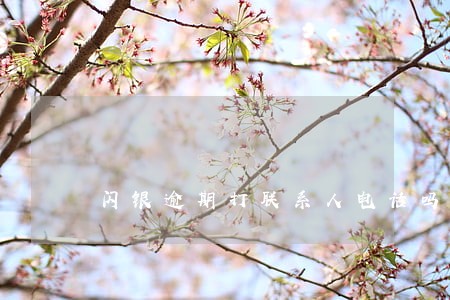 闪银逾期打联系人电话吗 闪银逾期打联系人电话吗