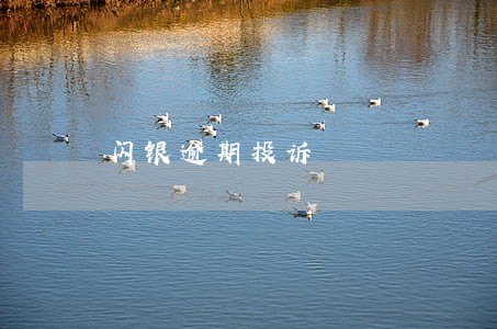 闪银逾期投诉 闪银逾期投诉
