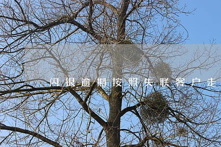 闪银逾期按照失联客户走流程 闪银逾期按照失联客户走流程