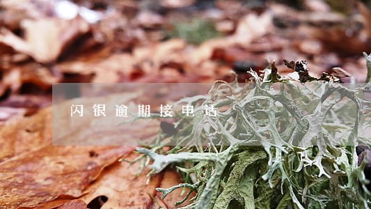 闪银逾期接电话 闪银逾期接电话