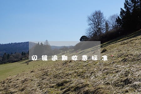 闪银逾期收费标准 闪银逾期收费标准
