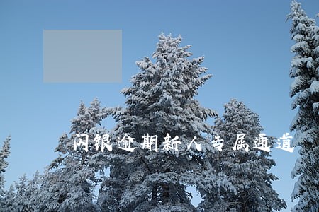 闪银逾期新人专属通道 闪银逾期新人专属通道