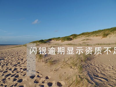 闪银逾期显示资质不足 闪银逾期显示资质不足
