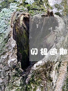 闪银逾期最长的有多久 闪银逾期最长的有多久